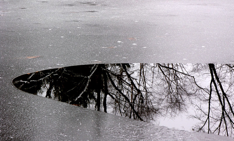 Allandale Ice panorama