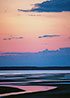 Eastham Pink