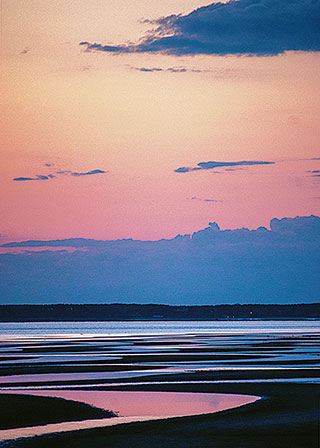 Eastham Pink