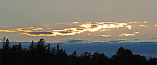 Golden Clouds