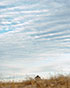 Sky Stripes