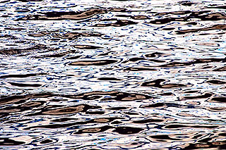Water Whorls