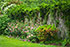 Enchanted Fence