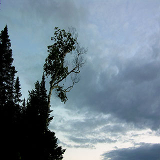 Gull Pond Snow Blowing In
