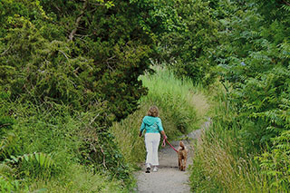 Woman Walking Dog